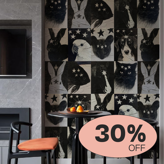 Kit Lambe-lambe Pets