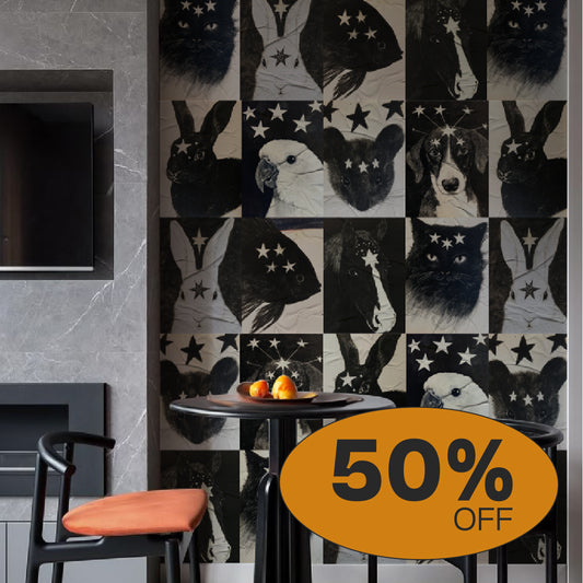 Kit Lambe-lambe Pets