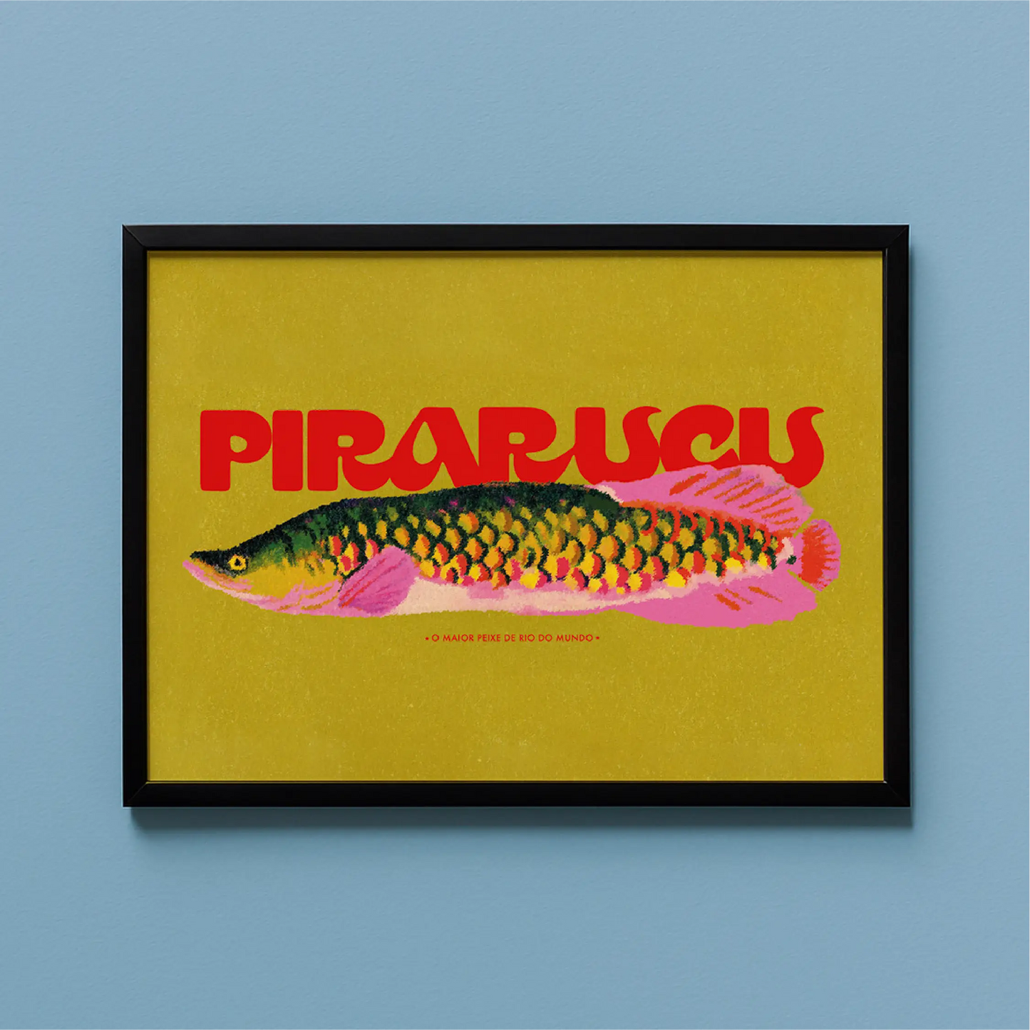 Quadro A3 Pirarucu